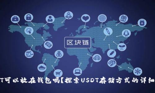 USDT可以放在钱包吗？探索USDT存储方式的详细指南