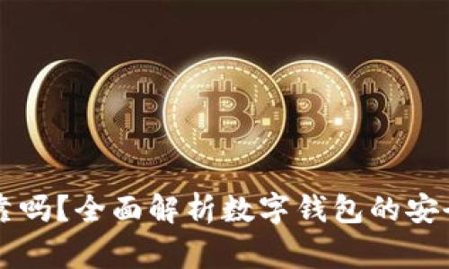 区块链数字钱包可靠吗？全面解析数字钱包的安全性和使用注意事项