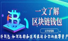  虚拟币软件钱包：如何选
