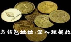 区块链Token与钱包地址：深