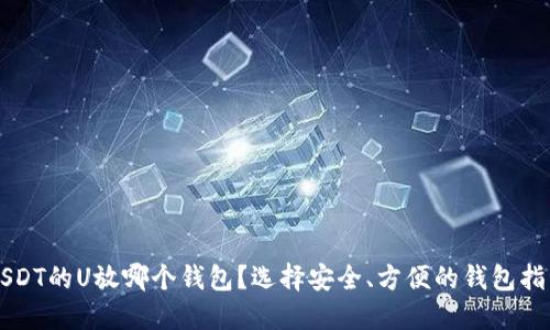 USDT的U放哪个钱包？选择安全、方便的钱包指南