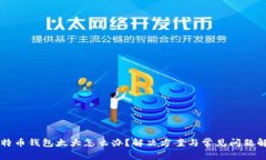 比特币钱包太大怎么办？