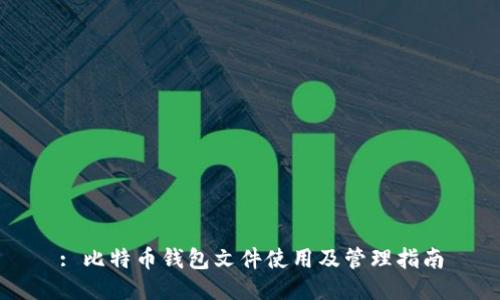 : 比特币钱包文件使用及管理指南
