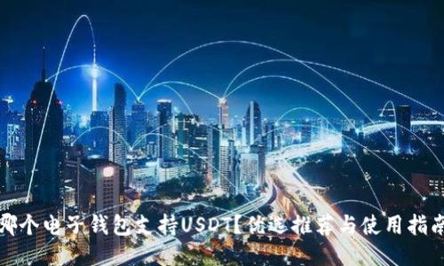 哪个电子钱包支持USDT？优选推荐与使用指南