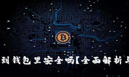 USDT提币到钱包里安全吗？全面解析与风险防范
