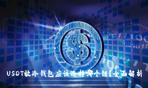 USDT放冷钱包应该选择哪个链？全面解析