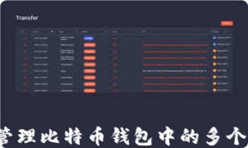 
如何管理比特币钱包中的多个地址？