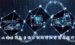 比特币钱包查询公钥的详