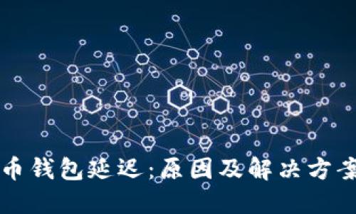 虚拟币钱包延迟：原因及解决方案详解