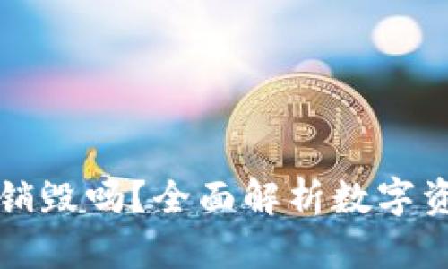 区块链钱包可以销毁吗？全面解析数字资产的销毁与安全