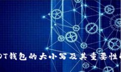 USDT钱包的大小写及其重要
