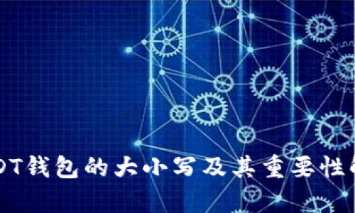 USDT钱包的大小写及其重要性解析