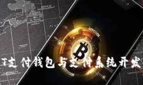 USDT支付钱包与支付系统开发指南