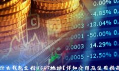 什么钱包支持USDT地址？详