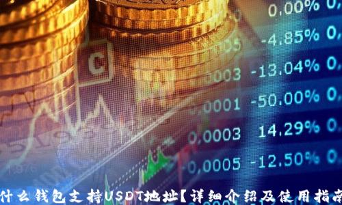
什么钱包支持USDT地址？详细介绍及使用指南