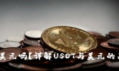 USDT钱包能收美元吗？详解