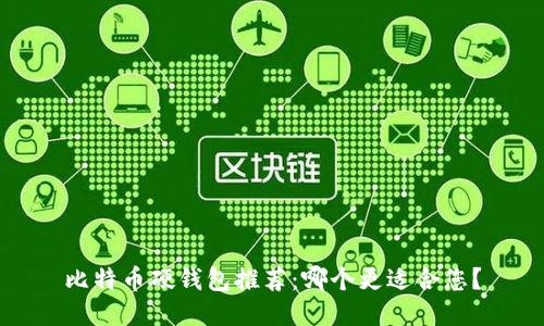 比特币硬钱包推荐：哪个更适合您？