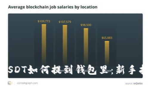 : USDT如何提到钱包里：新手指南