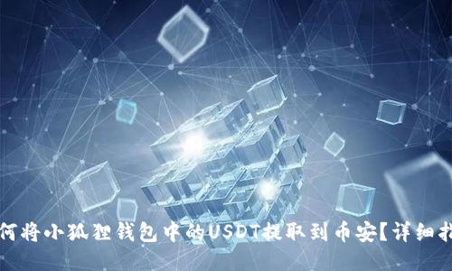 如何将小狐狸钱包中的USDT提取到币安？详细指南