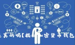 USDT钱包是真的吗？揭秘加