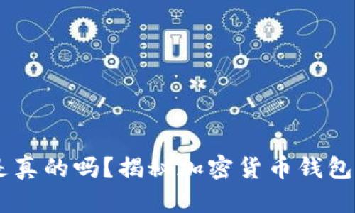 USDT钱包是真的吗？揭秘加密货币钱包安全与选择