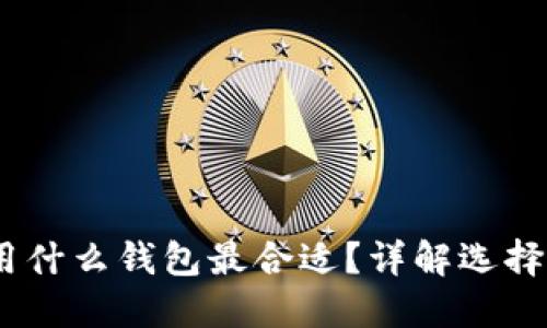 USDT提现用什么钱包最合适？详解选择和使用指南