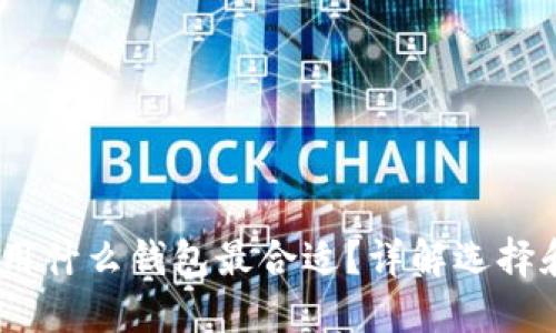 USDT提现用什么钱包最合适？详解选择和使用指南