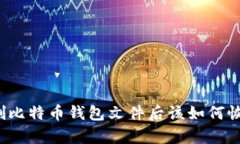 误删比特币钱包文件后该