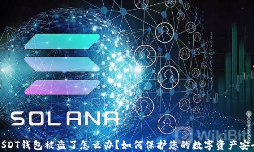 
USDT钱包被盗了怎么办？如何保护您的数字资产安全