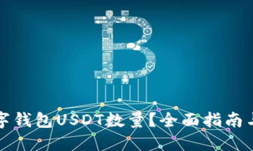 怎么查数字钱包USDT数量？全面指南与实用技巧