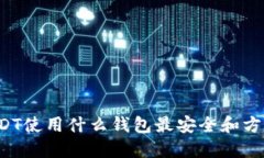 USDT使用什么钱包最安全和