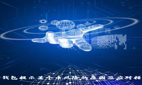 TP钱包提示某个币风险的原因及应对措施