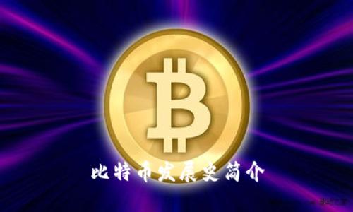比特币发展史简介
