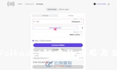 tp冷在Polkadot链中的应用与